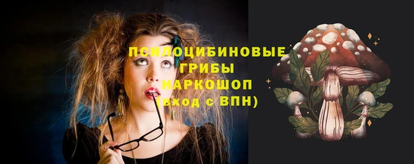 СК Балахна
