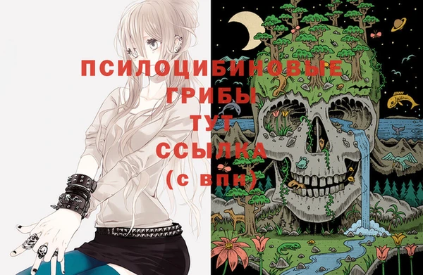 ешки Баксан