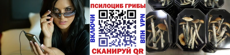Псилоцибиновые грибы ЛСД  Пересвет 