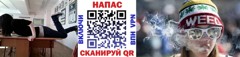 наркотики  Пересвет  Бошки марихуана сатива 